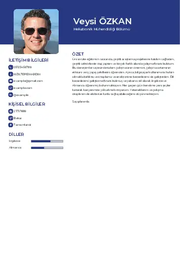 Mekatronik Mühendisliği Cv Örnekleri cv indir